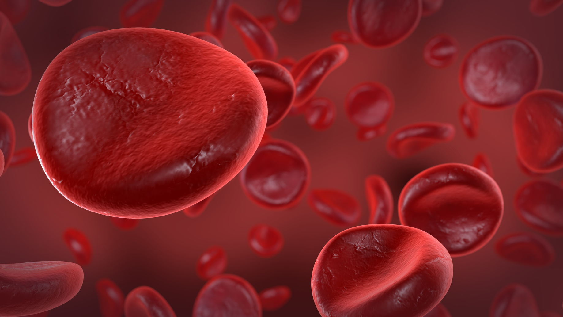 Болезни крови у мужчин. Кровяные тельца. Онкология клетки крови. Эритроциты на белом фоне.